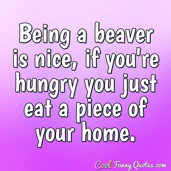 Being a beaver is nice, if you're hungry you just eat a piece of your home. - Anonymous