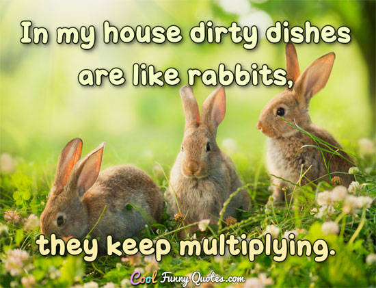 In my house dirty dishes are like rabbits, they keep multiplying.
