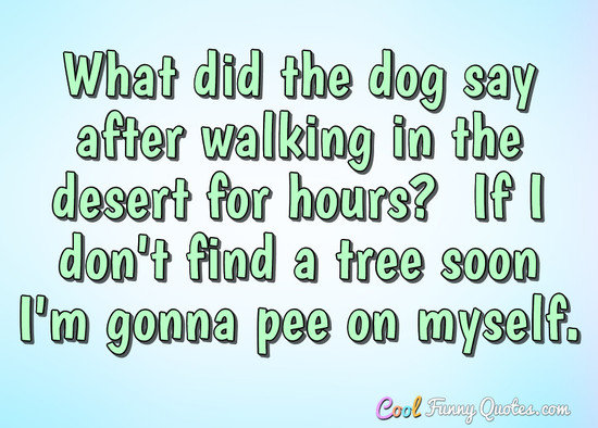 What did the dog say after walking in the desert for hours?