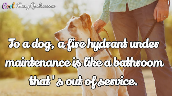 To a dog, a fire hydrant under maintenance is like a bathroom that's out of service.