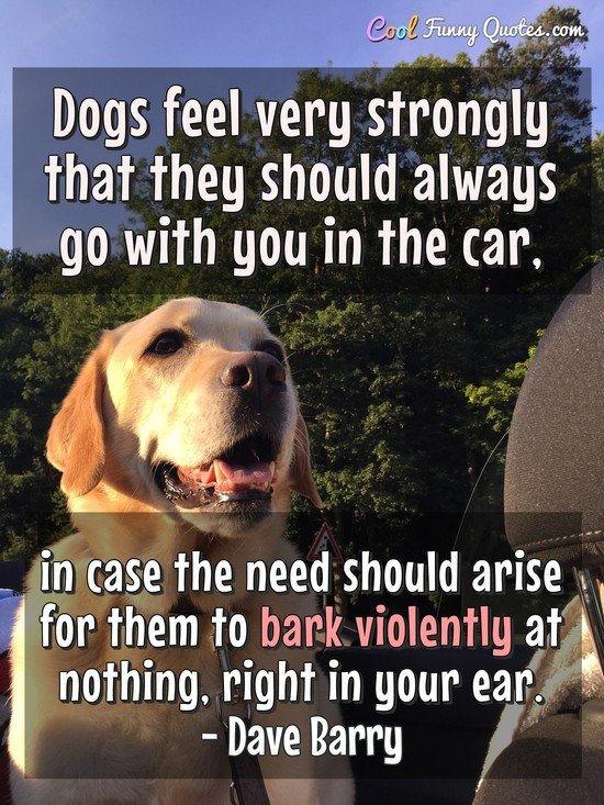 Dogs feel very strongly that they should always go with you in the car, in case the need should arise for them to bark violently at nothing, right in your ear. - Dave Barry