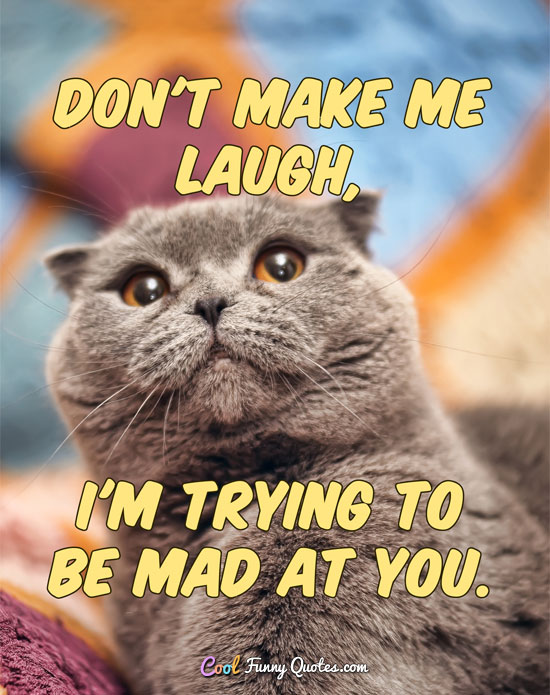 Don't make me laugh, I'm trying to be mad at you.