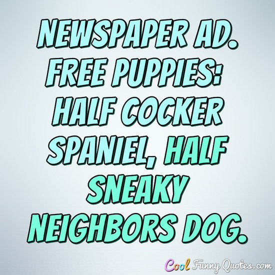 Newspaper Ad. FREE PUPPIES: Half cocker spaniel, half sneaky neighbors dog. - Anonymous