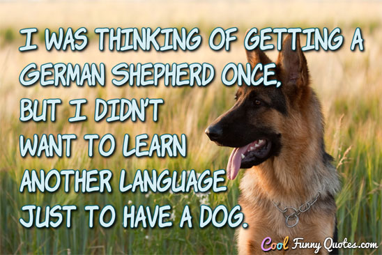 I was thinking of getting a German Shepherd once, but I didn't want to learn another language just to have a dog.