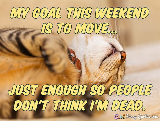 My goal this weekend is to move... just enough so people don't think I'm dead. - Anonymous