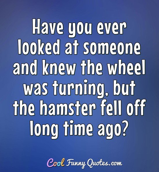 Have you ever looked at someone and knew the wheel was turning, but the hamster fell off long time ago? - Anonymous