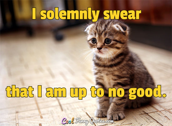 I solemnly swear that I am up to no good. - Anonymous