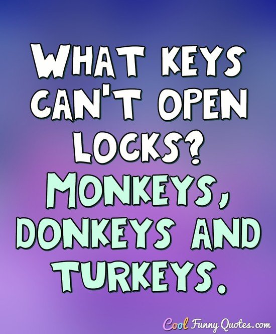 What keys can't open locks? Monkeys, donkeys and turkeys. - Anonymous