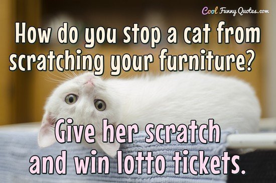 How do you stop a cat from scratching your furniture? Give 