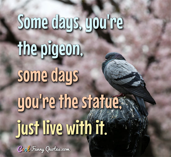 Some days, you're the pigeon, some days you're the statue, just live with it.