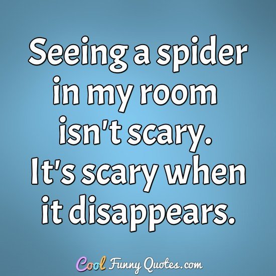Seeing a spider in my room isn't scary. It's scary when it disappears. - Anonymous