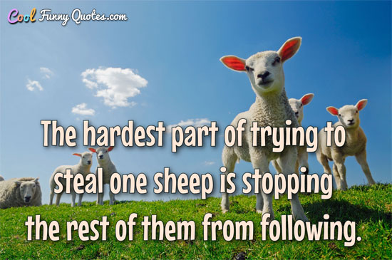The hardest part of trying to steal one sheep is stopping the rest of them from following.