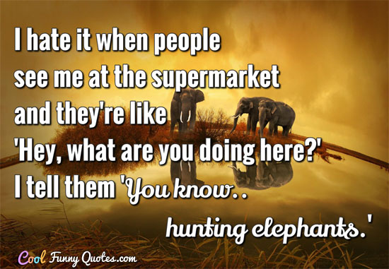 I hate it when people see me at the supermarket and they're like 'Hey, what are you doing here?'  I tell them 'You know.. hunting elephants.'