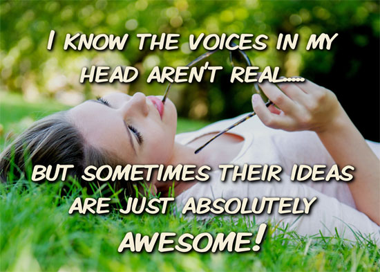 I know the voices in my head aren't real..... but sometimes their ideas are just absolutely awesome!