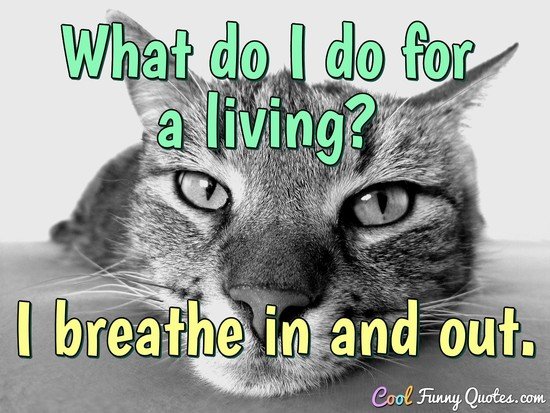What do I do for a living? I breathe in and out. - Anonymous