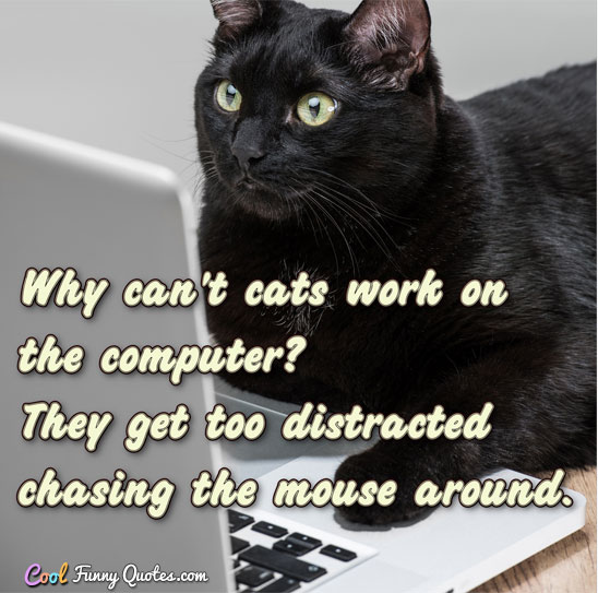 Why can't cats work on the computer?  They get too distracted chasing the mouse around.