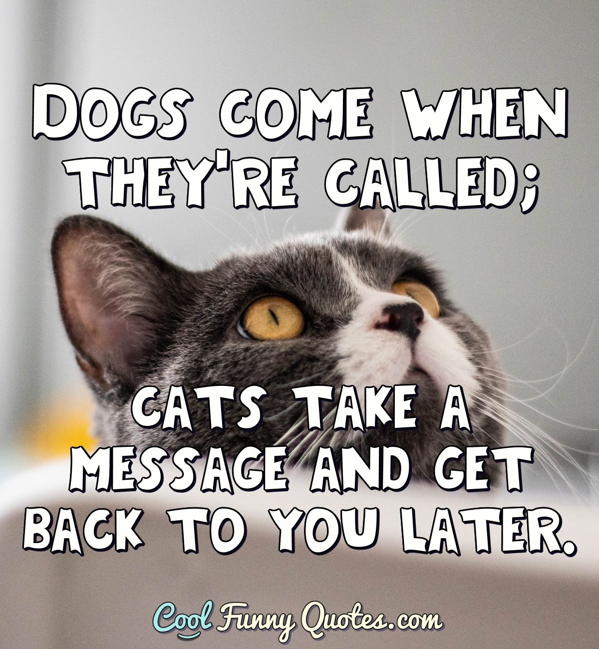 Dogs come when they're called; cats take a message and get back to you  later.