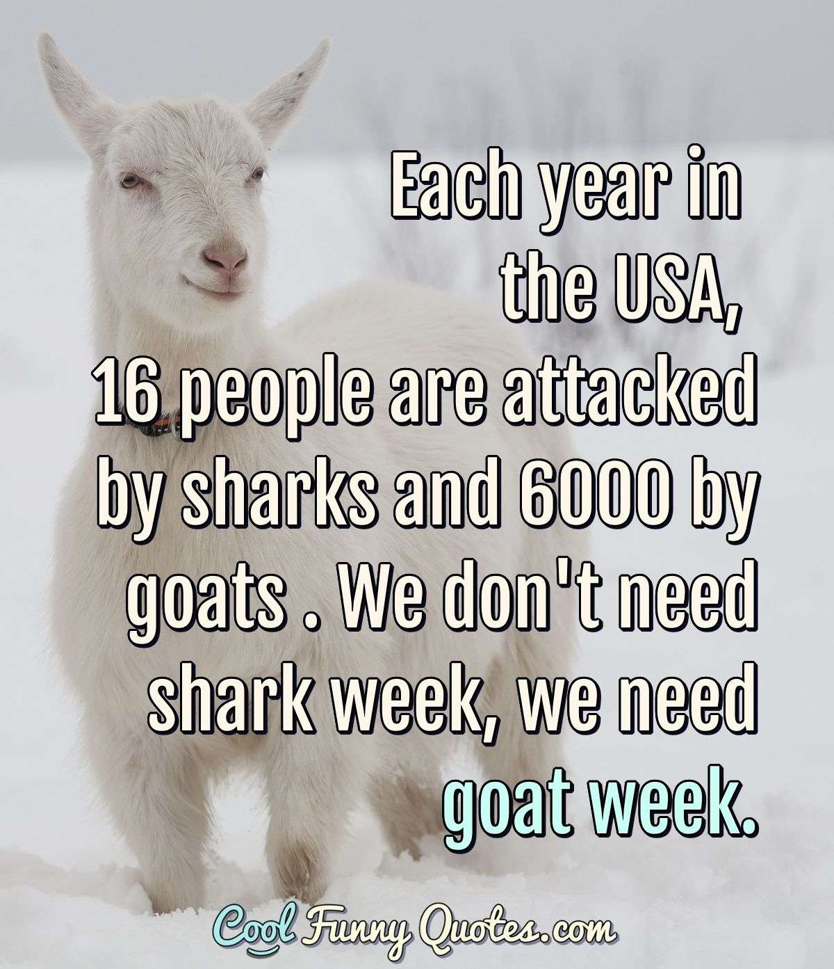 Each year in the USA, 16 people are attacked by sharks and 6000 by goats . We don't need shark week, we need goat week. - Anonymous