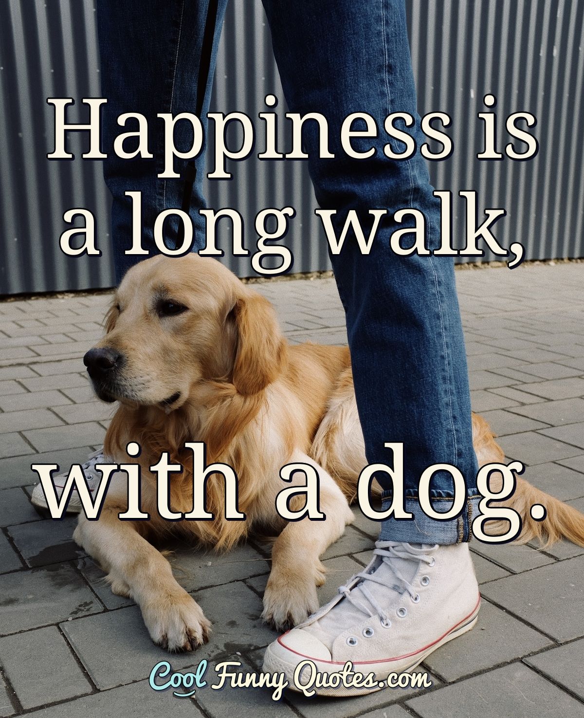 Happiness is a long walk, with a dog.