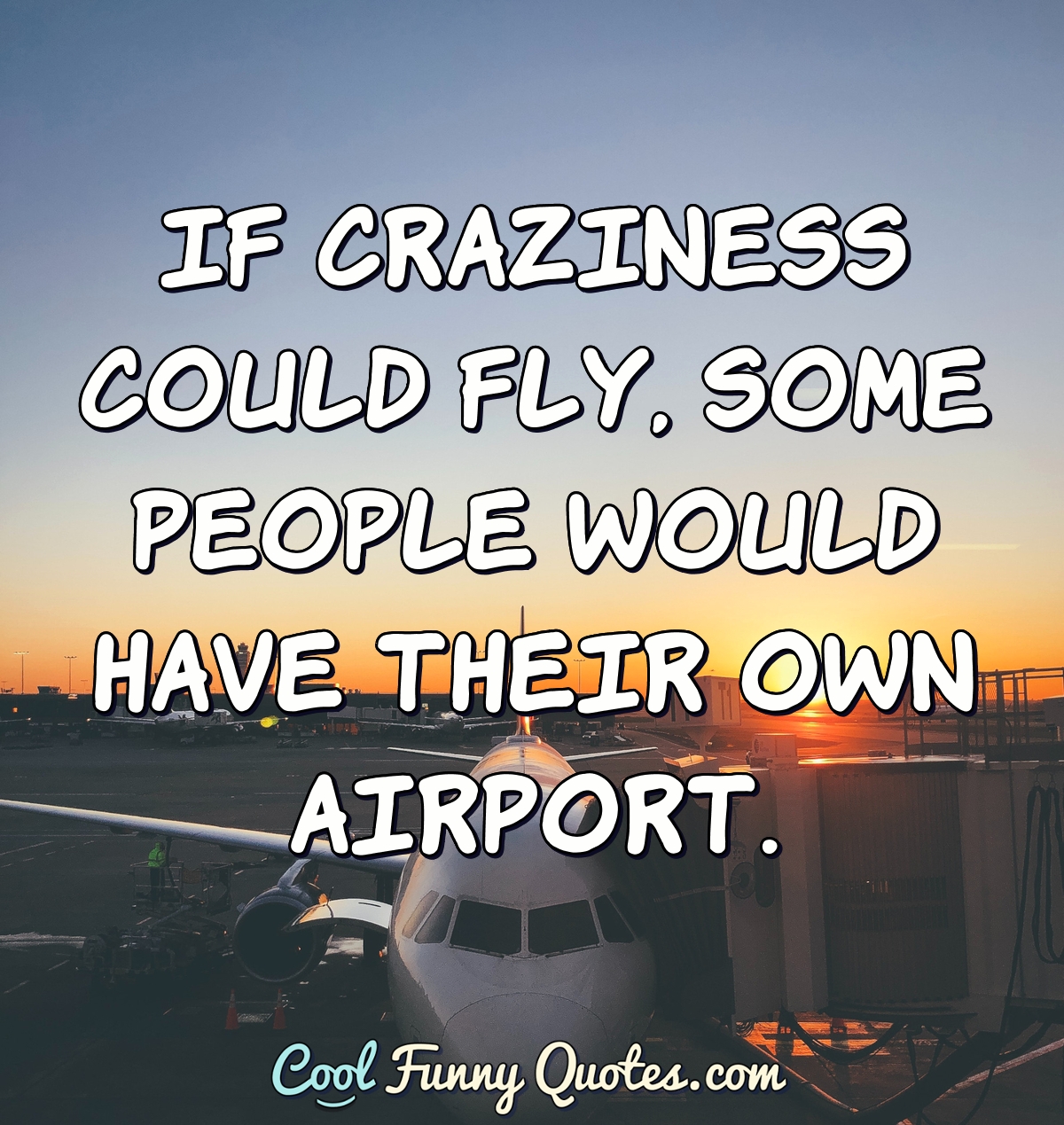If craziness could fly, some people would have their own airport.