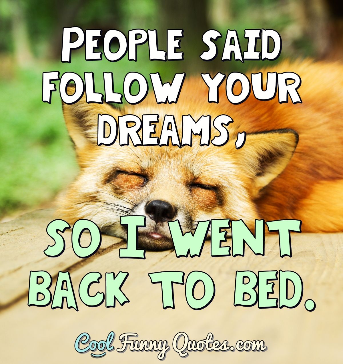 People said follow your dreams, so I went back to bed.