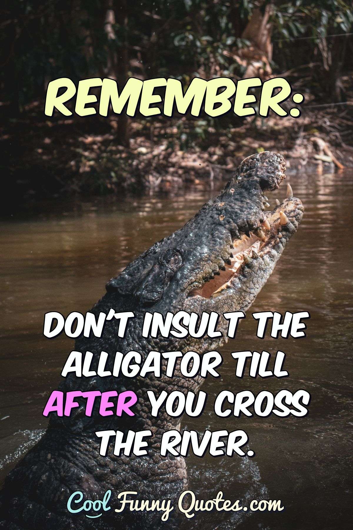 Remember: Don't Insult the Alligator till after you cross the river. - Anonymous