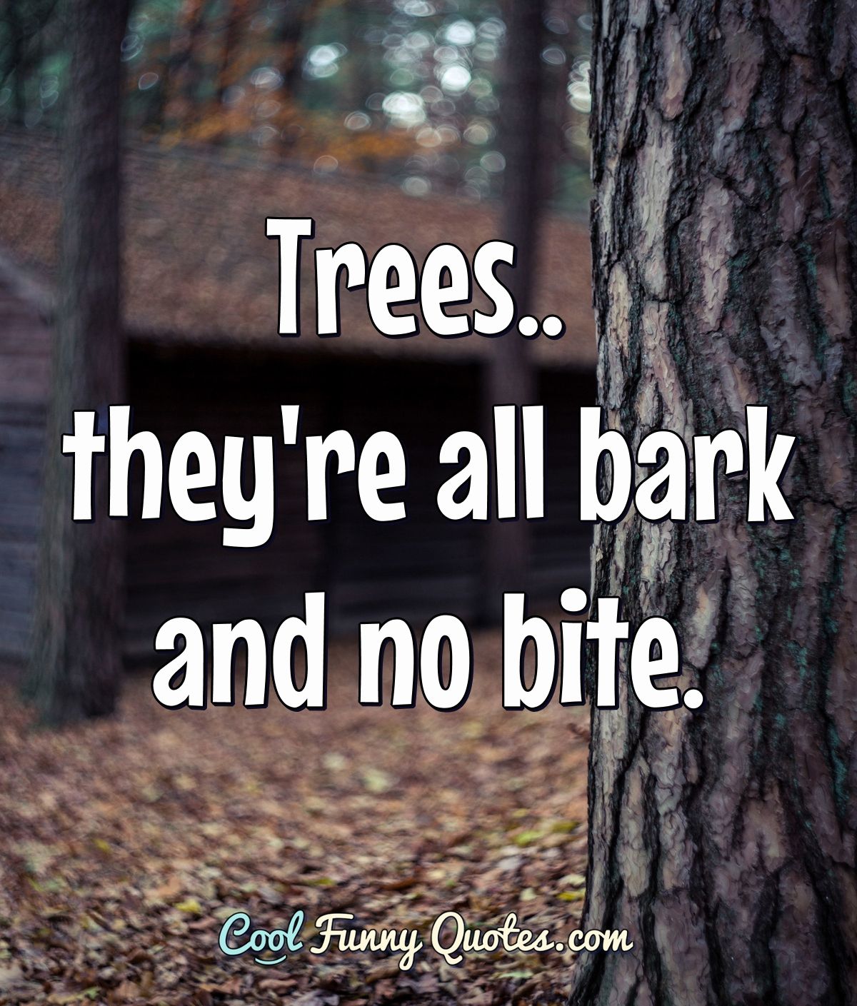 Trees.. they're all bark and no bite. - Anonymous