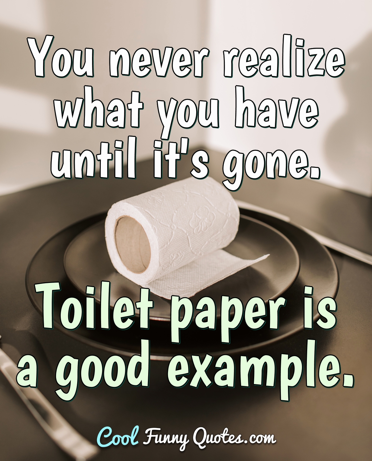You Never Realize What You Have Until It S Gone Toilet Paper Is A Good Example You Never Realize What You Have Until It S Gone Toilet Paper Is A Good Example