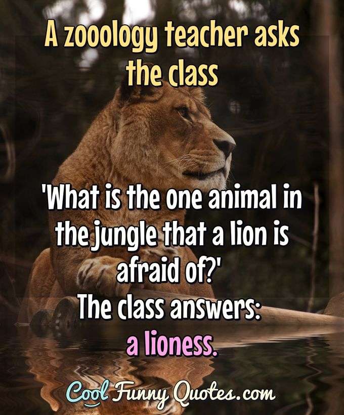 A zooology teacher asks the class 'What is the one animal in the jungle that a lion is afraid of?' The class answers: a lioness. - Anonymous