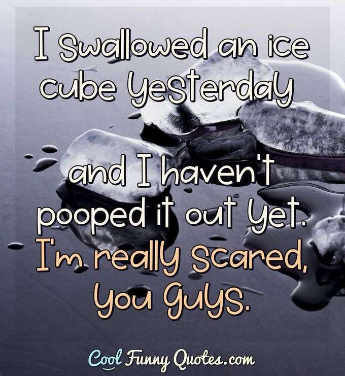 Funny Sayings Cool Funny Quotes Funny Sayings Cool Funny Quotes