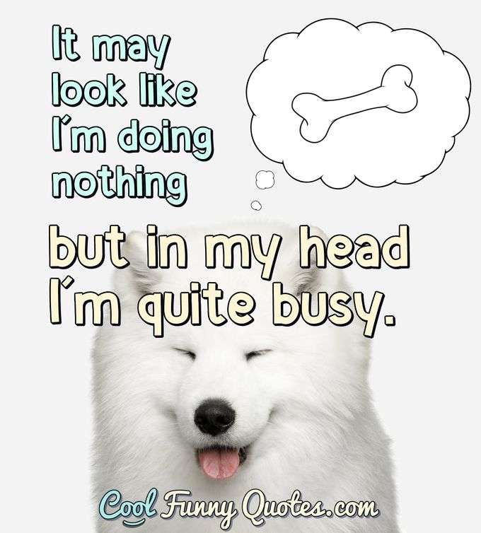 It may look like I'm doing nothing, but in my head I'm quite busy. - Anonymous
