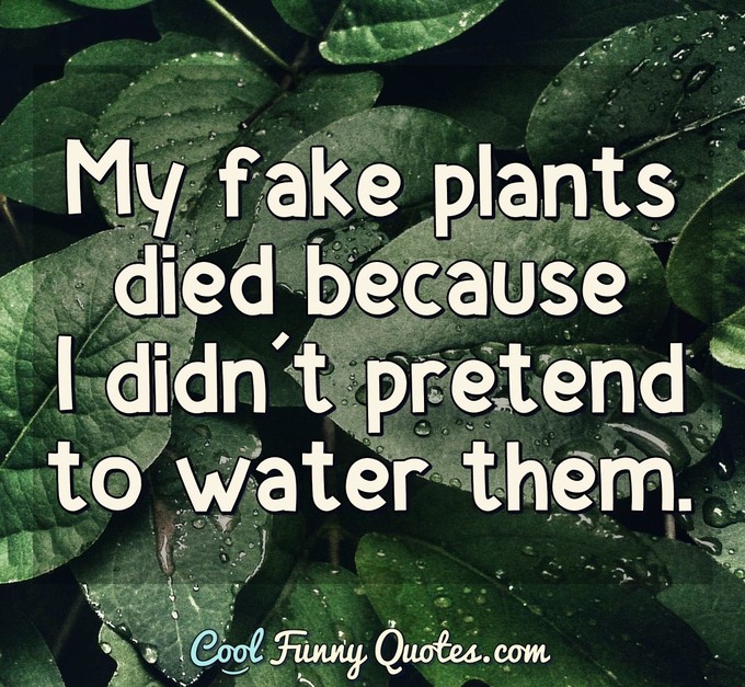 My fake plants died because I didn't pretend to water them. - Anonymous