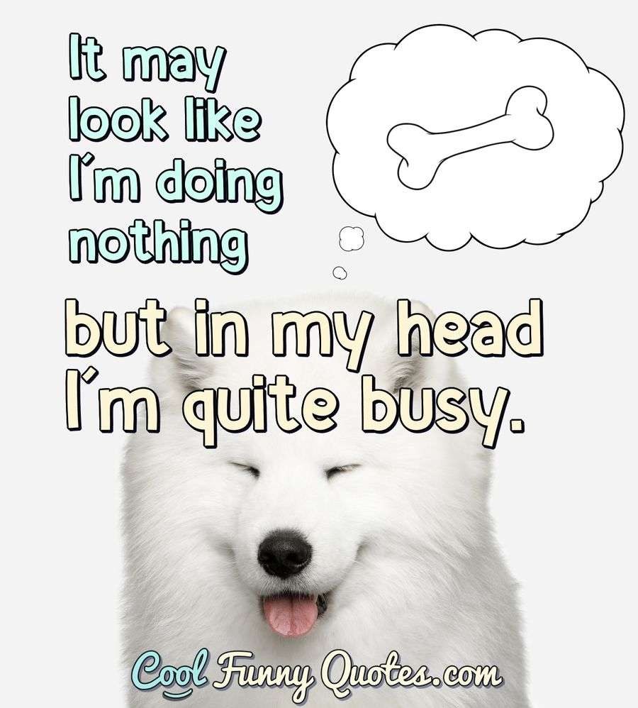 funny-sayings-cool-funny-quotes