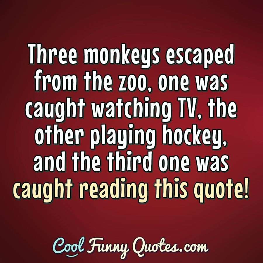 Three monkeys escaped from the zoo, one was caught watching TV, the other playing hockey, and the third one was caught reading this quote! - Anonymous