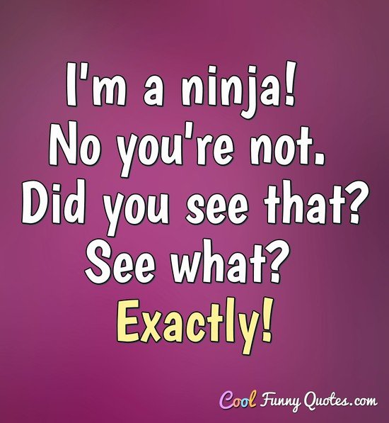 I'm a ninja!  No you're not.  Did you see that?  See what? Exactly! - Anonymous