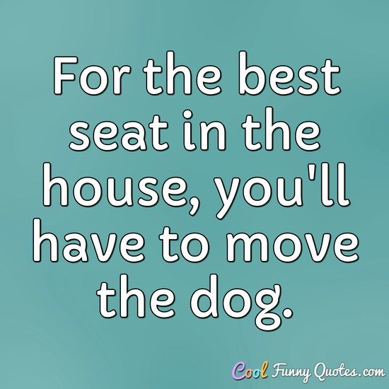 For the best seat in the house, you'll have to move the dog.