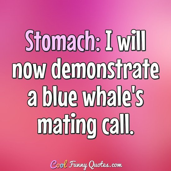 Stomach: I will now demonstrate a blue whale's mating call. - Anonymous