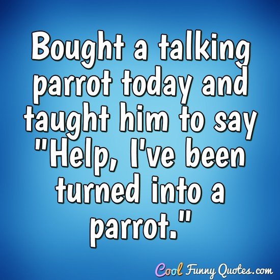 Bought a talking parrot today and taught him to say Help, I've been turned into a parrot.