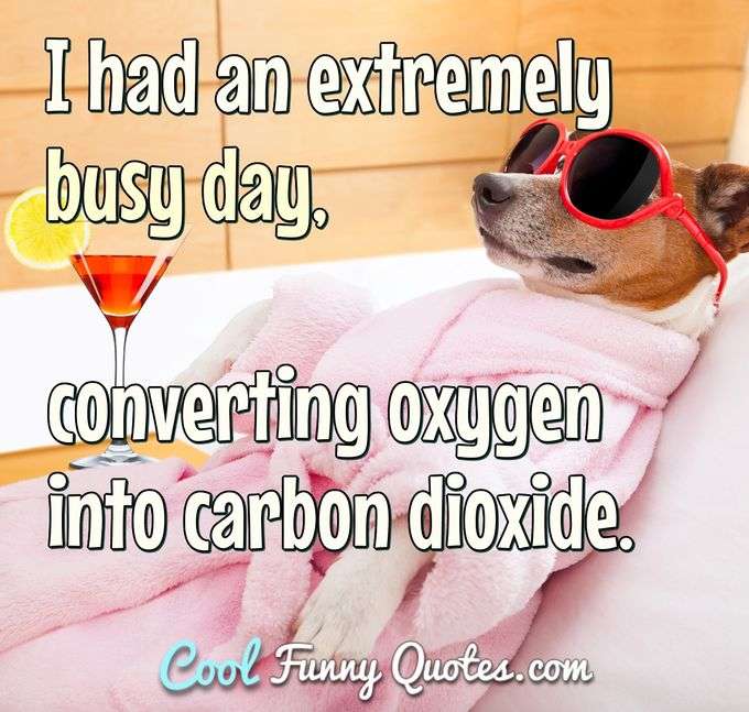 I had an extremely busy day, converting oxygen into carbon dioxide.