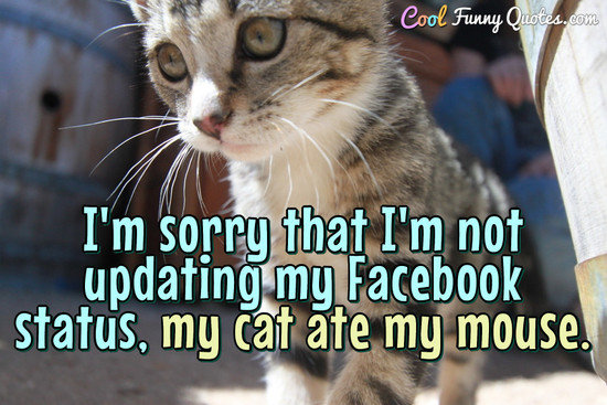I'm sorry that I'm not updating my Facebook status.