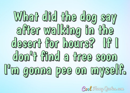 Funny Dog Quotes - Cool Funny Quotes