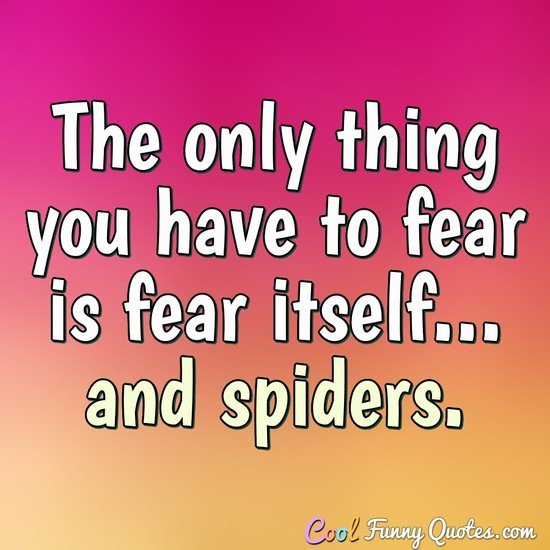 The only thing you have to fear is fear itself... and spiders.