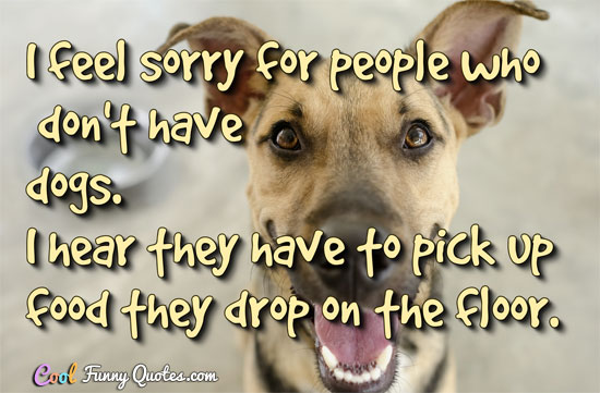 dog phrases funny