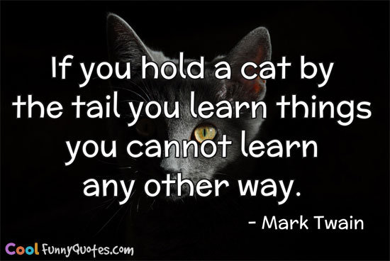 If you hold a cat by the tail you learn things you cannot learn any other way.