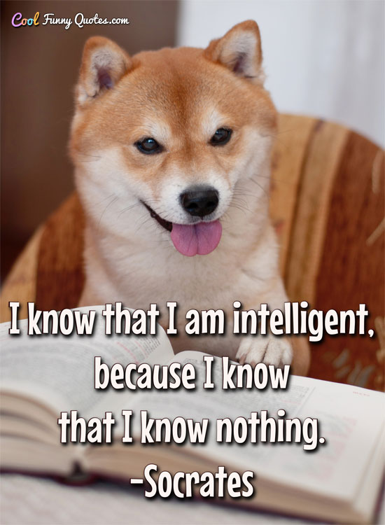 I know that I am intelligent, because I know that I know nothing.