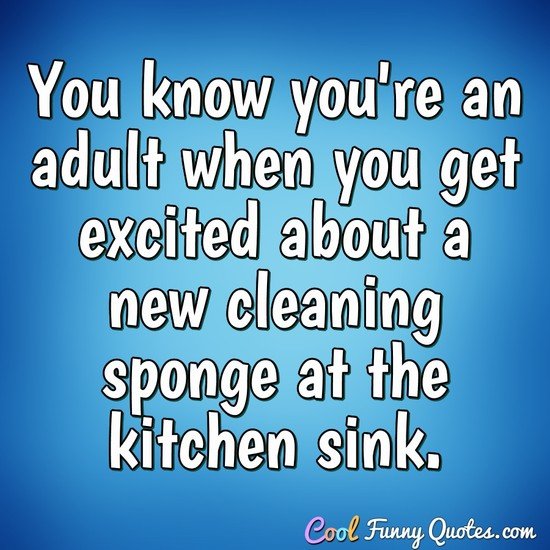 You know you're an adult when you get excited about a new cleaning sponge at the kitchen sink. - Anonymous