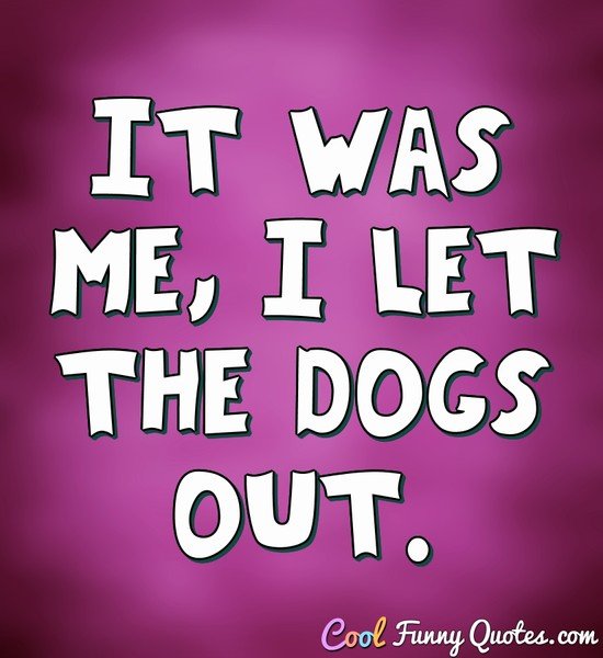 It was me, I let the dogs out. - Anonymous