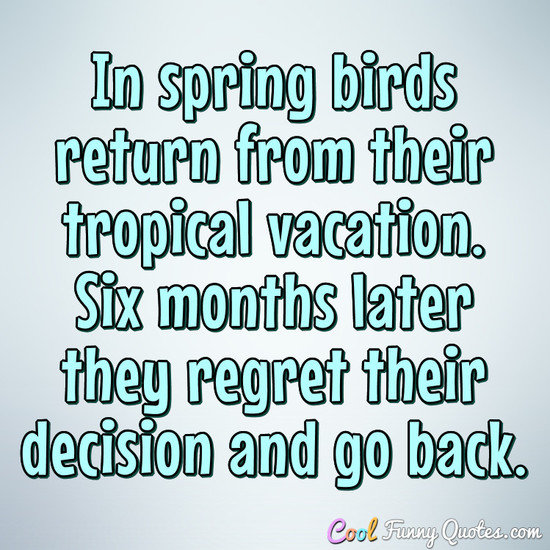 In spring birds return from their tropical vacation. Six months later they regret their decision and go back. - Anonymous