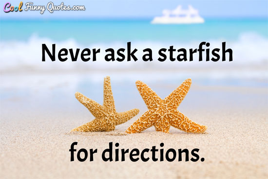 Never Ask A Starfish For Directions