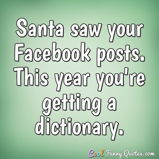 Santa saw your Facebook posts. This year you're getting a dictionary. - Anonymous